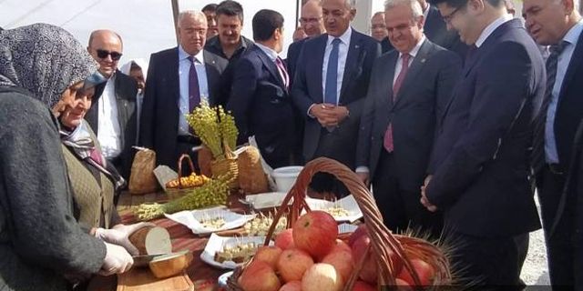 Divle Obruk Peyniri Festivali yapıldı