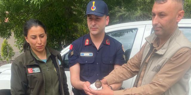 Bozkır’da martı tedavi altına alındı