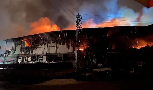 Elazığ'da tavuk fabrikası alev alev yandı