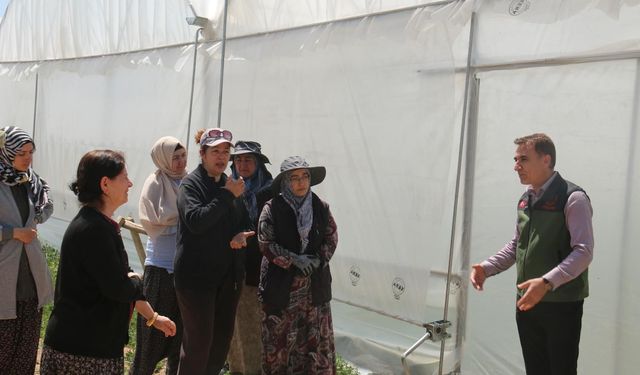 KOP yaygınlaşıyor