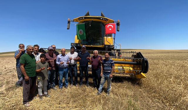 Konya'da arpa ve buğday hasadı başladı