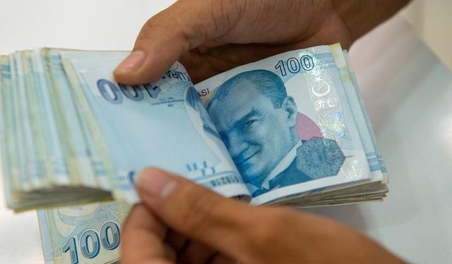 Bakanlık duyurdu! Tarımsal destek ödemeleri bugün hesaplara aktarılıyor