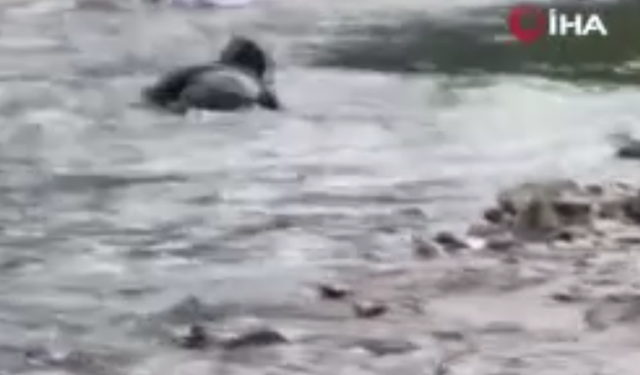 Akıntıya kapılan çocuğu işte böyle kurtardı