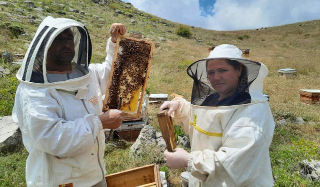 Konya'da yaylalarda arı mesaisi sürüyor