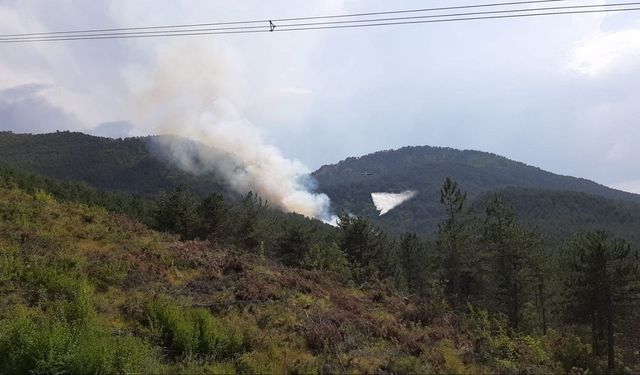 Bolu'da orman yangını başladı