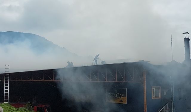 Rize’de çay fabrikasında yangın çıktı