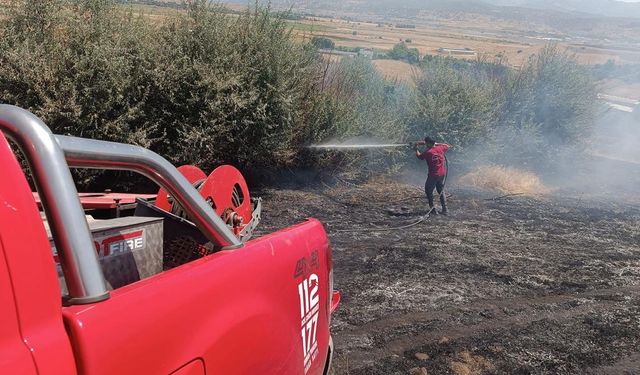 Bingöl'deki orman yangını kontrol altında