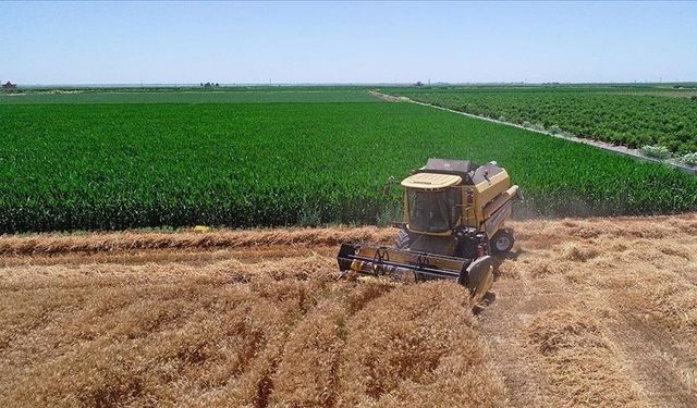 Tarımsal destekleme ödemeleri hesaplara yatırılıyor