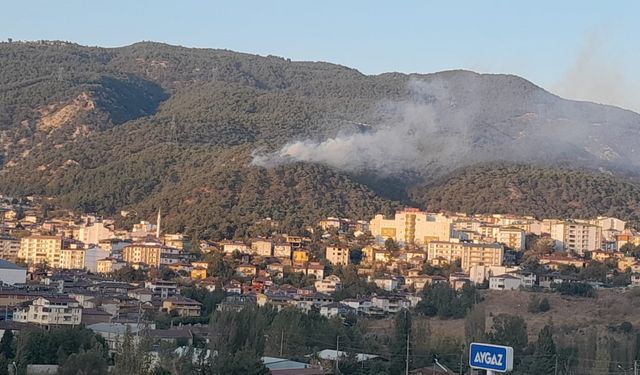 Tokat'ta orman yangını kontrol altına alındı