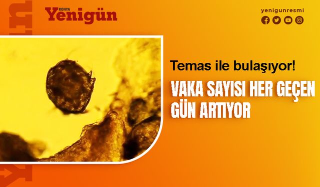 Vaka sayısı artıyor!