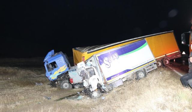 Tır ile kamyonet kafa kafaya çarpıştı: 2 ölü
