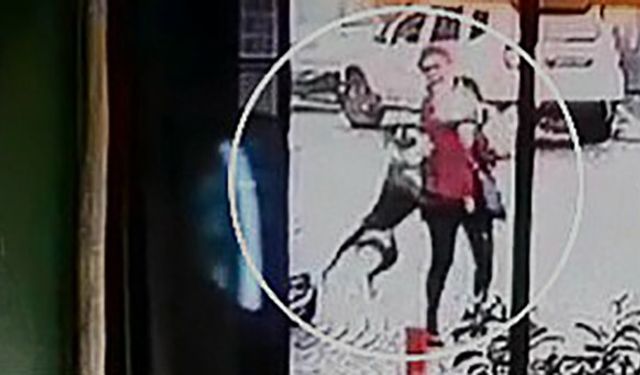 Tekirdağ’da pitbull dehşeti kamerada