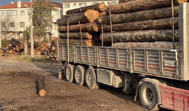 Üzerine tomruk düşen sürücü hayatını kaybetti
