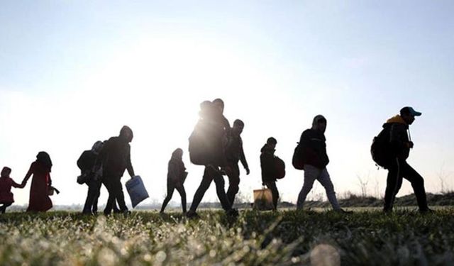Kars'ta 52 düzensiz göçmen yakalandı