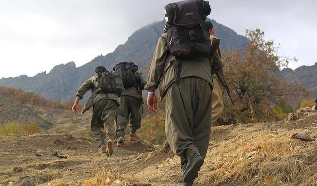 Japonya istihbaratı, PKK'yı terör örgütleri listesine aldı