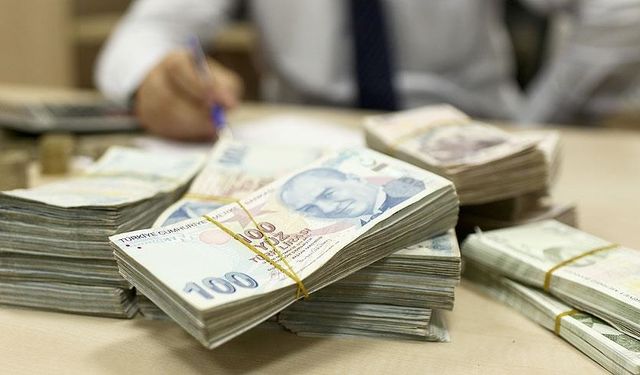 Dikkatler TL varlıklarında!