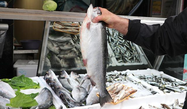 Doğu Karadeniz'in somon ihracatı yüzde 41 arttı