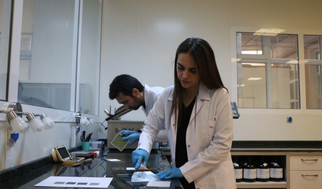 Pillerin performansı Türk bilim insanlarınca geliştirildi