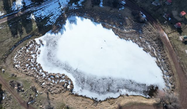 Kar yağmayan Sivas’ta göl buz tuttu