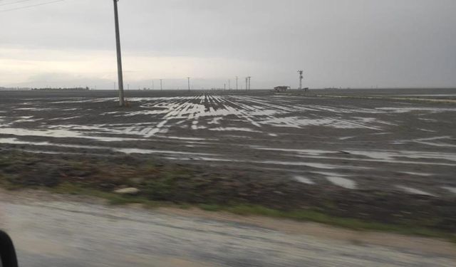 Konya'da tarım arazileri sular altında kaldı