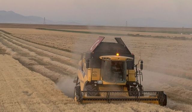 Soylu: Konya'da buğday hasatı hızlandı