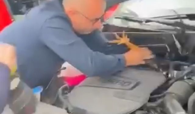 Araç motoruna bu kez kedi değil bakın ne girdi
