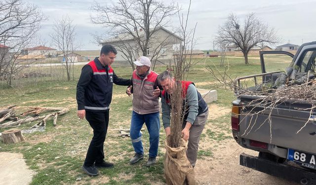 Köy ve yaylalara fidan dağıtımı yapıldı