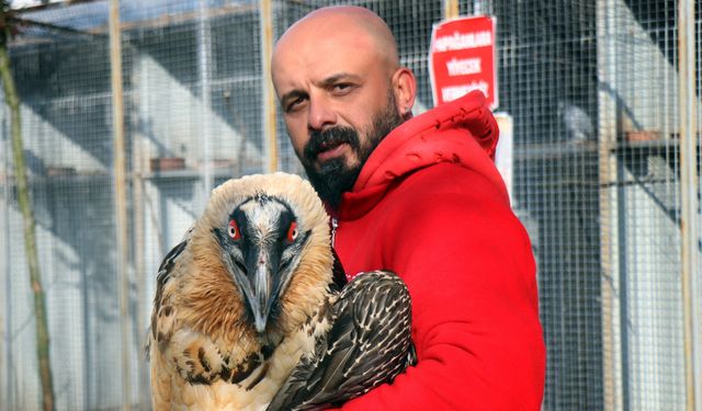 Türkiye'de nadir görülüyor, artık yeni yuvasında!