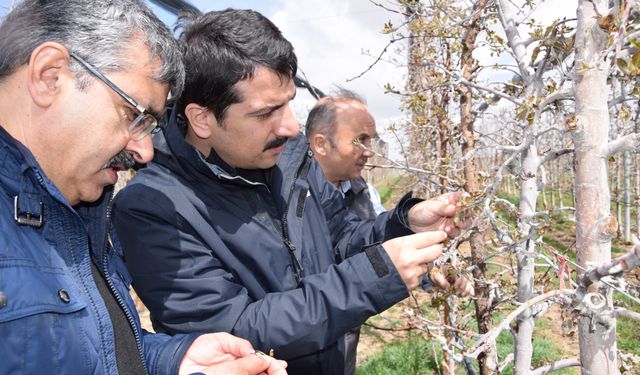 Karapınar kaymakamı zirai don sonrası sahada!