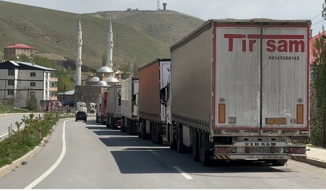 İki ülke sınırındaki 2 kilometrelik tır kuyruğu dikkat çekti