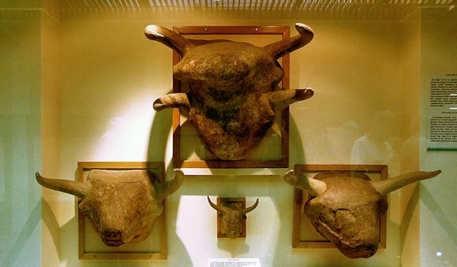 Çatalhöyük kutsal bir mekan mı?