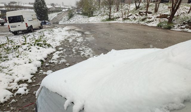 Bu ilimize Nisan ayında lapa lapa kar yağdı