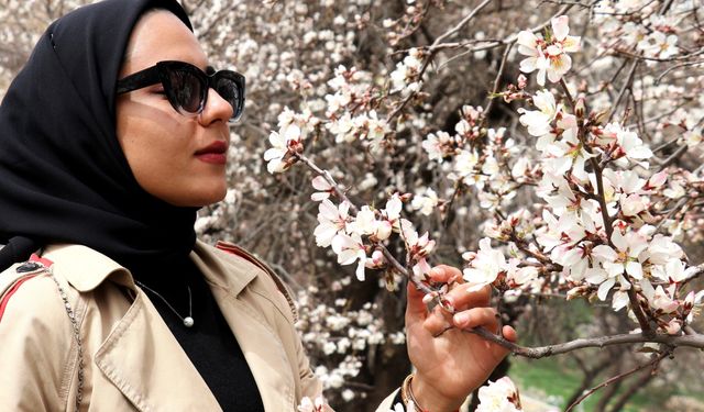 'İklim değişikliği alerjileri tetikliyor'