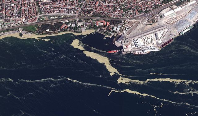 Marmara Denizi'nde müsilaj tehditi