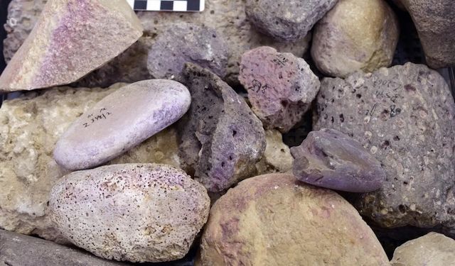 Bu atölye 500 yıl salyangozlardan mor boya üretmiş