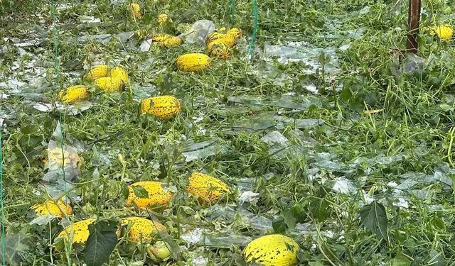 Sağanak ve dolu seralara zarar verdi