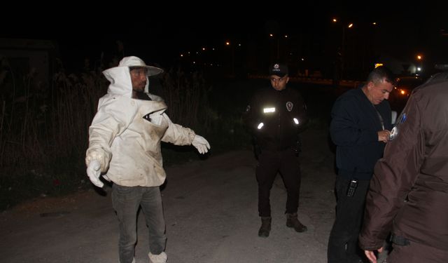 Konya'da arı kovanı yüklü kamyonet devrildi