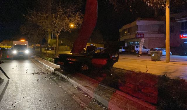 Ağaca çarpan otomobilin sürücüsü hayatını kaybetti