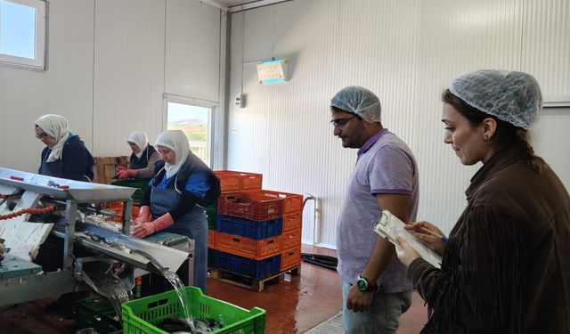 Beyşehir Gölüne kıyısı olan ilçede sıkı denetim
