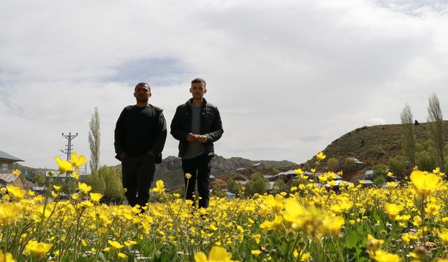 Konya'nın bin 900 rakımlı yaylasında çiçekler açtı, fotoğrafçılar akın etti