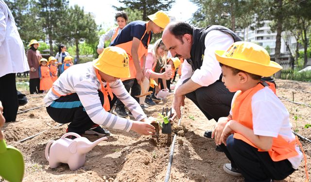 Konya tarımda engel tanımıyor! Özel çiftçiler toprağı bereketlendirdi