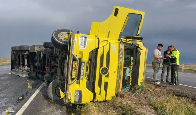 TIR devrildi içindeki angus cinsi hayvanlar kayıplara karıştı