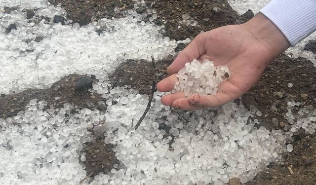 Aniden bastıran dolu etrafı beyaza bürüdü