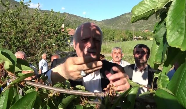 Tarımsal üretimde büyük tehlike