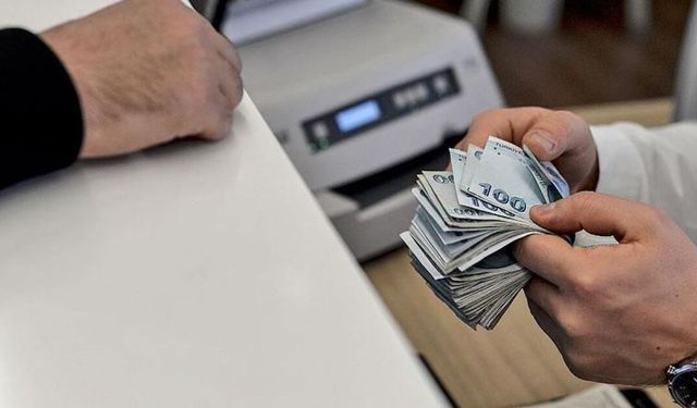 Hane halkı bütçesinden 2024'te en fazla pay bunlara harcandı
