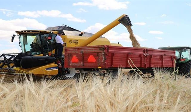 Tarım sektörün’de beklenen hububat alım fiyatları açıklandı