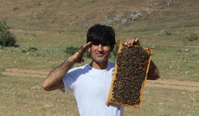 Arıcının arılarla kurduğu bağ görenleri şaşırtıyor