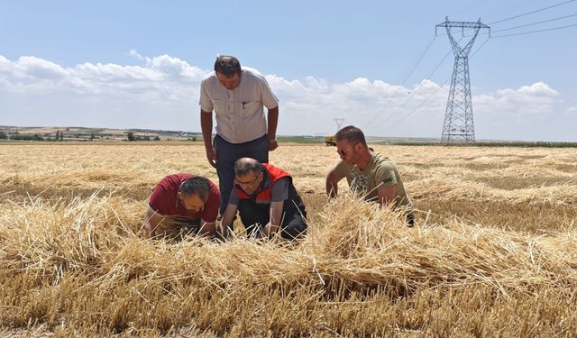 Tarım ekiplerinden biçerdöverlere sıkı denetim