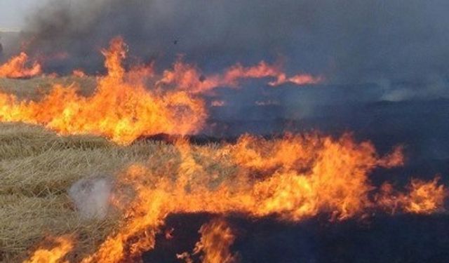 İfaiyesinden tarla yangınları için uyarı