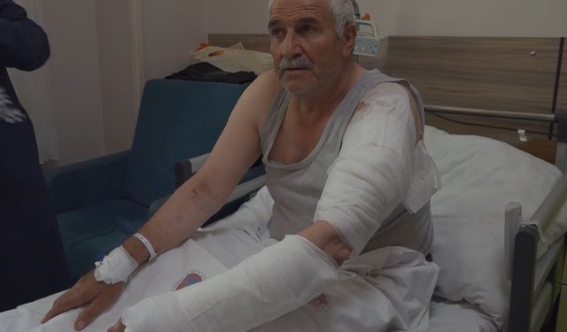 Tarlada ot biçen vatandaşa kurt saldırdı